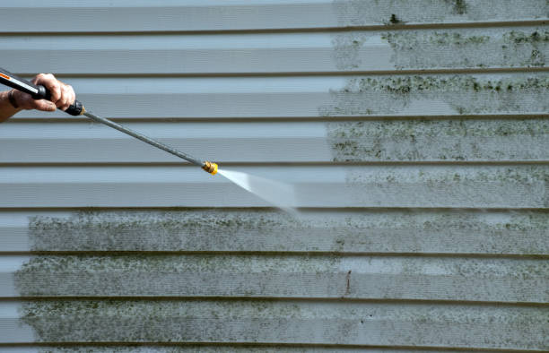 Best Mold Cleaning Services  in Gorevle, IL
