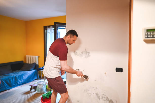 Best Mold Removal Specialists  in Gorevle, IL